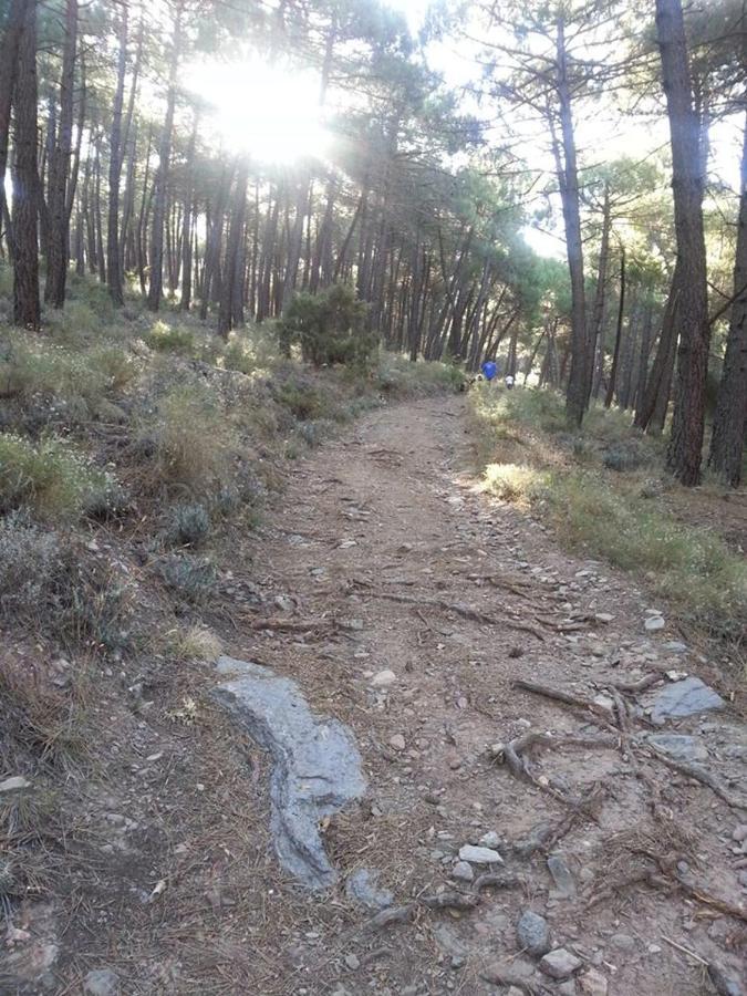 Green Peaks B&B Country House Alojamiento Rural Cortijo de Balsain エクステリア 写真