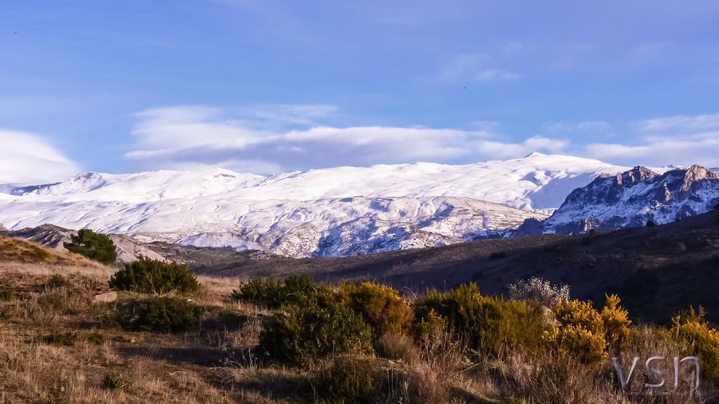Green Peaks B&B Country House Alojamiento Rural Cortijo de Balsain エクステリア 写真